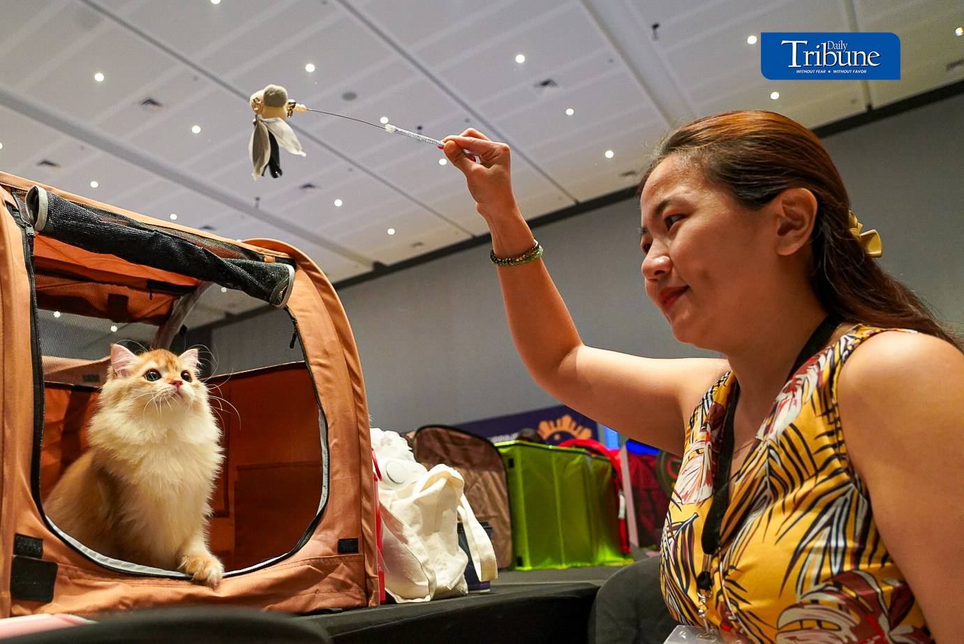 Cat enthusiasts and pet owners visit the 1st WCF Philippines World Show held at One Ayala in Makati. The show runs from 14 to 15 June 2024.